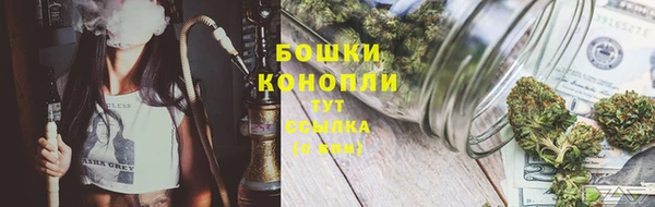 СК Бородино