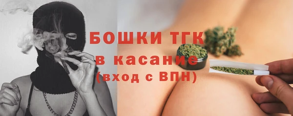СК Бородино