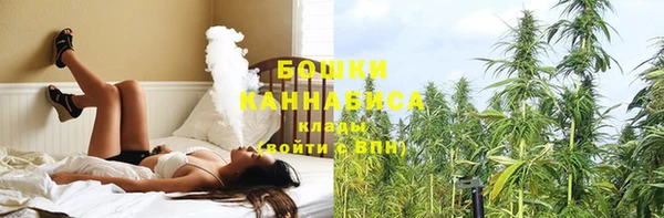 меф Богородицк