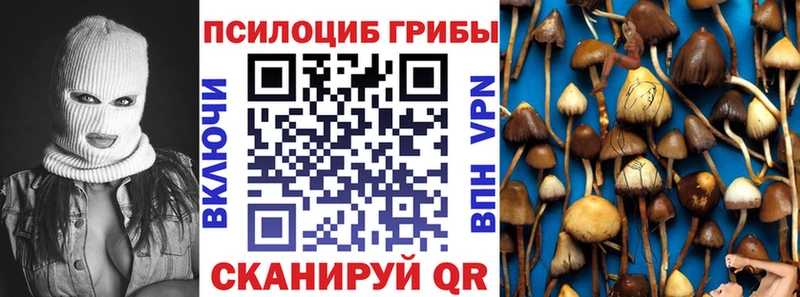 Галлюциногенные грибы мицелий Отрадная